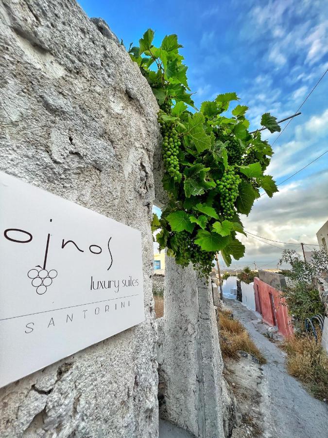 Oinos Luxury Suites Foinikia  Exterior photo